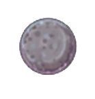 Elunium