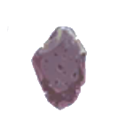 HD Elunium